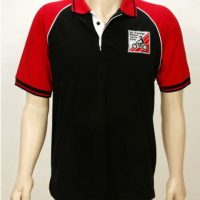 Polo Shirt - $30